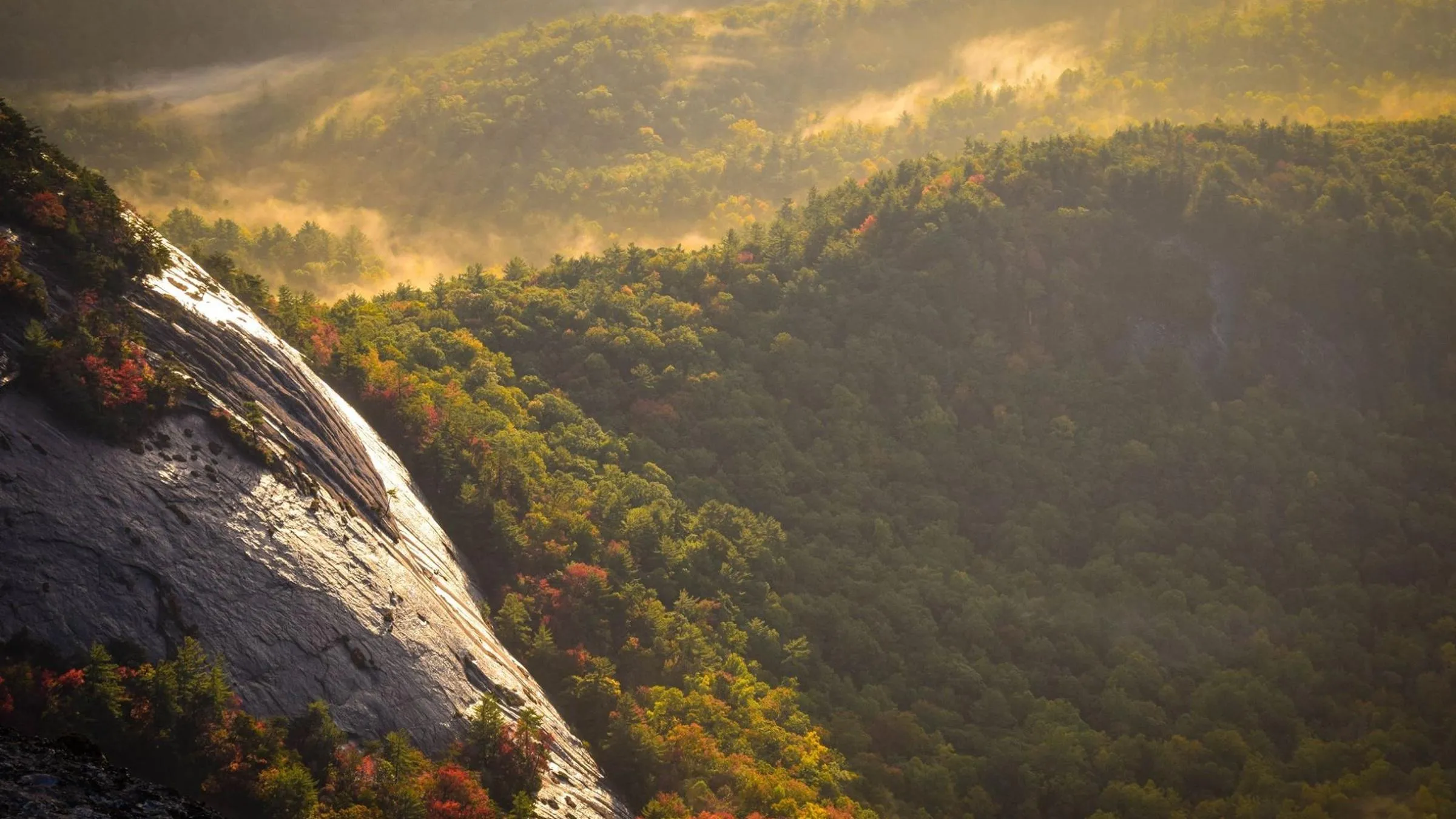 Volunteer Spotlight: Meet the Team Behind the Food Pantry