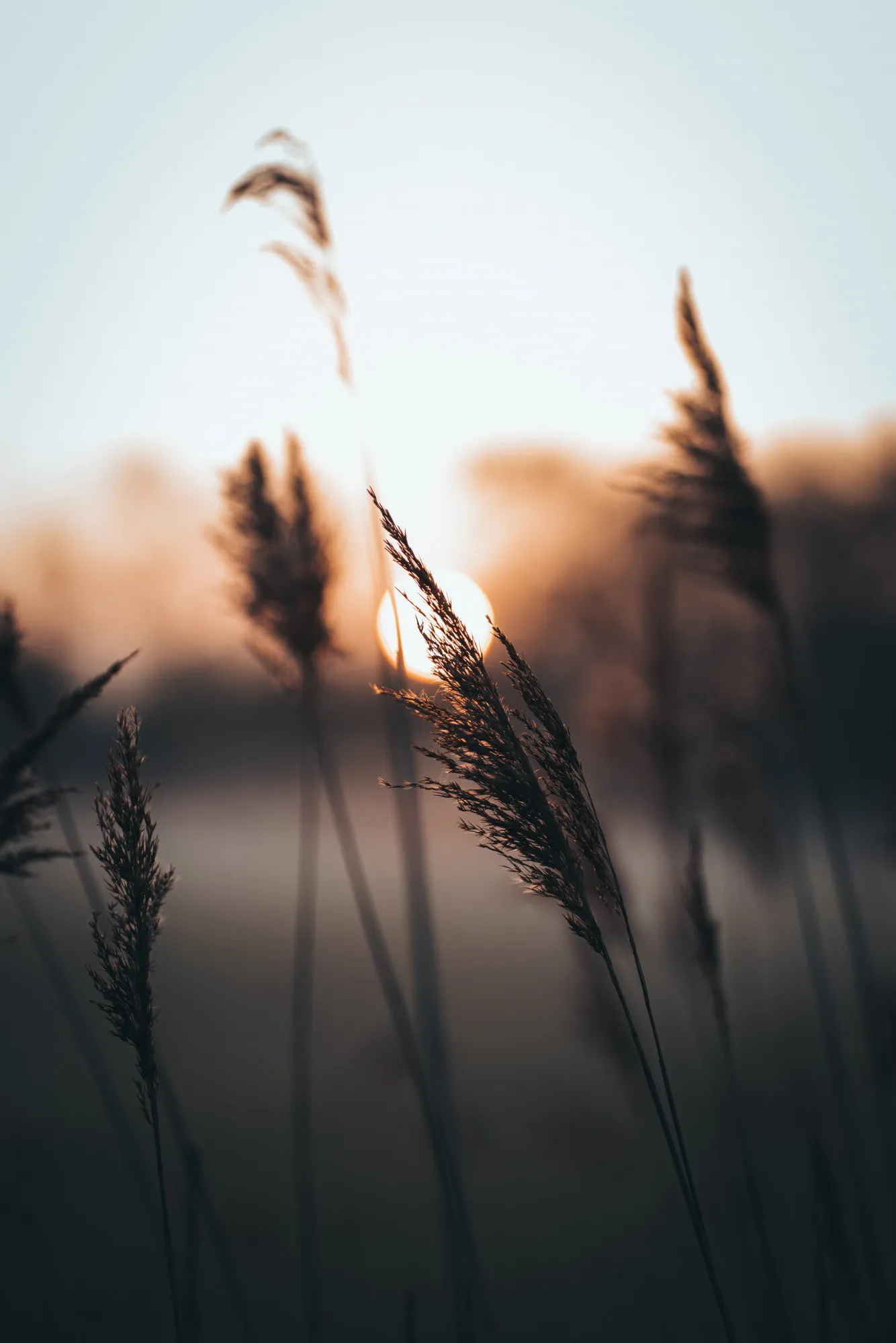 Financial Peace: Free 9-Week Class Starting in April